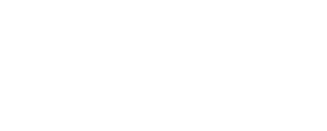 Tiger Batteries
